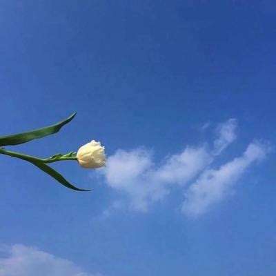 进击吧三国2最新版下载